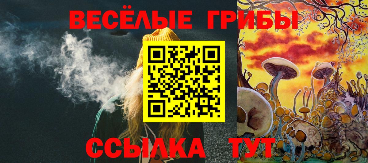 Псилоцибиновые грибы мицелий Елизово