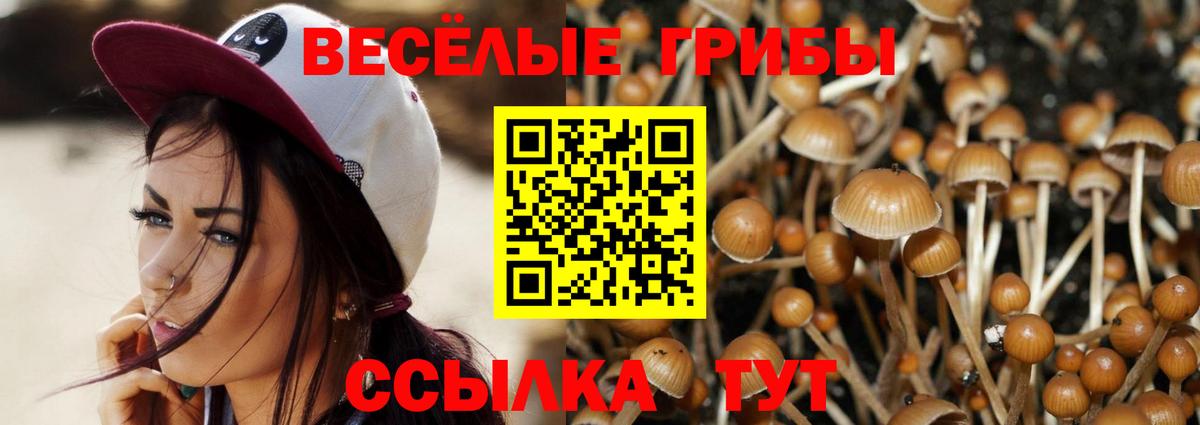 Галлюциногенные грибы ЛСД  Вход с VPN  Елизово  где купить   Галлюциногенные грибы мицелий 